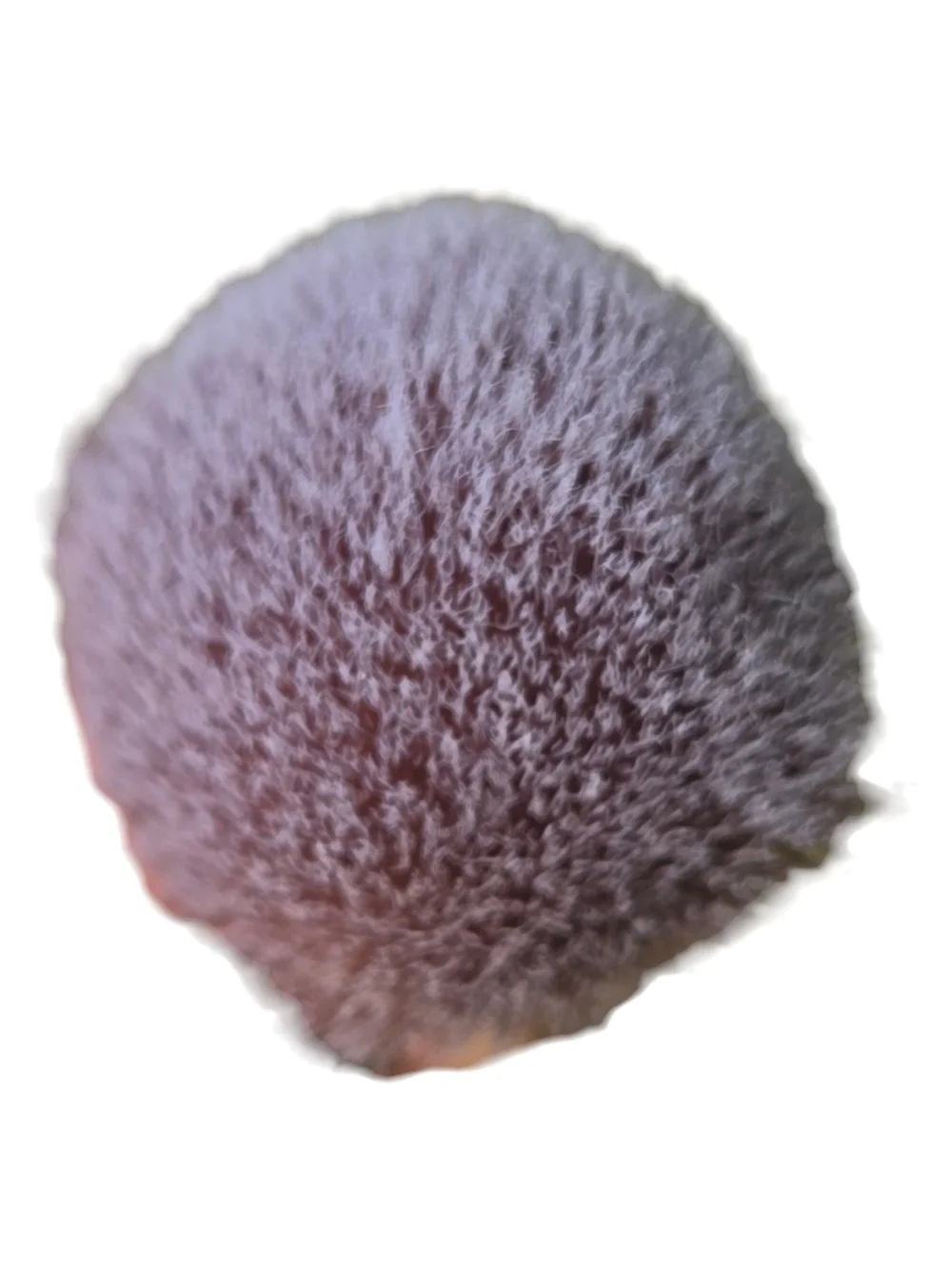 New Hourglass Veil Powder Brush Dual-ended NWOT